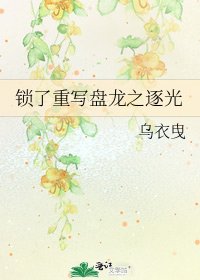 盘龙之逐光